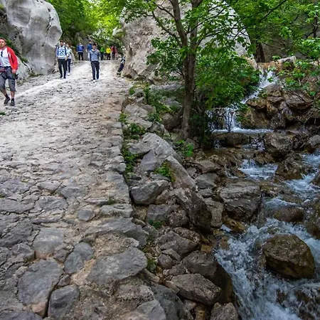 - Paklenica Riviera 6847 Селине